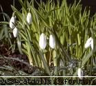 pai..ce sava zik..nu am mai facut nimik e :)  :)  :)  :)  :) o sa primeks vreun martisor :rolleyes: