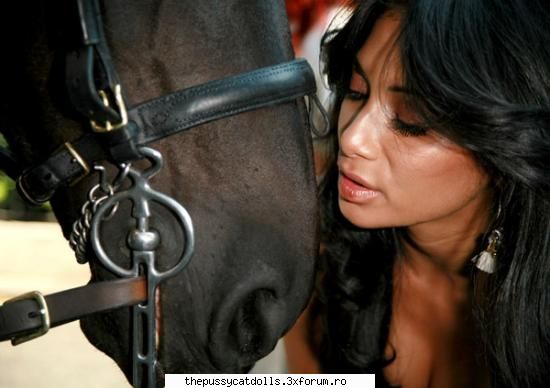 funny pics ink una tot calul