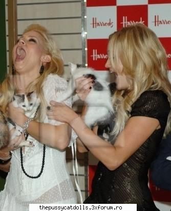 funny pics auch!ink salbatice matzele astea