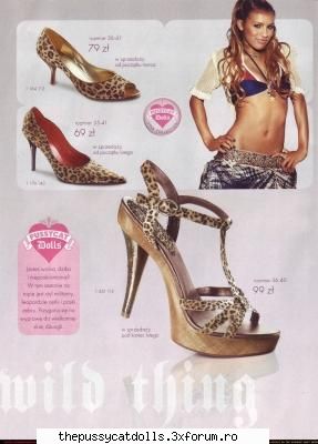 pcd magazines