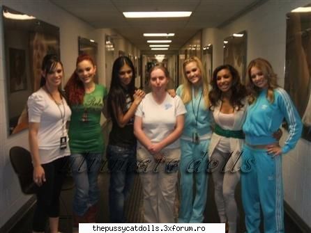 the pussycat dolls