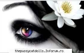 concert pcd romania: iunie cred sunt pozele topicurile care apar din nou *Admin* Boy!