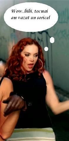 funny creation carmit