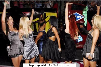 the pussycat dolls comment