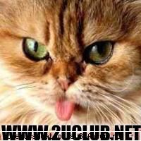 poze mumoase! stai pun