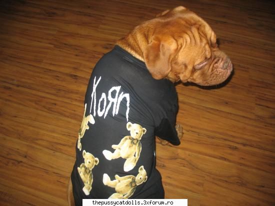 Our Pets.. - here`s ma doggy...e roacher - Recycle Bin